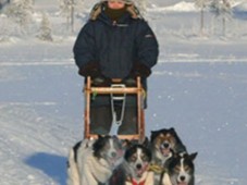 Schweden : Exklusive Lapplanderlebniswoche mit Huskies - Tjappsåive