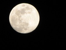 Europa : Verschenken Sie ein Grundstück auf dem Mond!