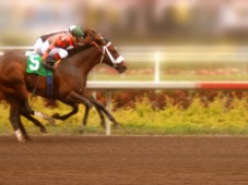 Großbritannien : Ein Tag für 2 auf einer Pferderennbahn - Gold Cheltenham, Epsom, Newcastle, Perth & Sandown