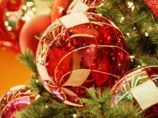 Passend zu Weihnachten: Das Beste von der Gans!