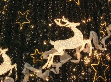 Besondere Geschenke zu Weihnachten