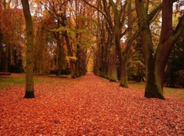 Wellness im Herbst