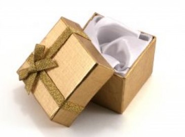 Weihnachtsgeschenke unter 100€