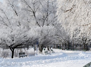 Wintererlebnisse