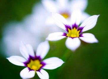 Frühling