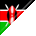 3 Tages Safari in Kenia (Afrika)