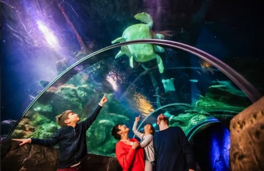 Sea Life London Aquarium: Tickets mit bevorzugtem Eintritt