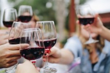 Chauffiert private Tour vom Hafen von Livorno mit Sassicaia Weinprobe