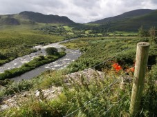 Das Irish Fiddlers Retreat-Erlebnis