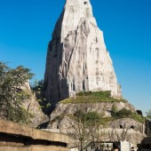 Visite du Parc Zoologique de Paris - (75)