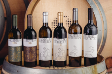 Dégustation de vins, visite de la cave et safari à Alentejo pour 2