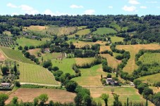 Half-day tour of the Camargue from Aix en Provence