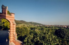 Half-day tour of the Camargue from Aix en Provence