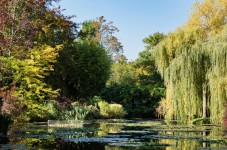 Private Tour nach Giverny und Versailles mit Abholung vom Hotel