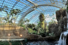 Visite du Parc Zoologique de Paris - (75)