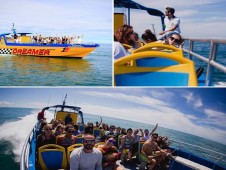 Safari de Golfinhos e Grutas no Algarve em Jet Boat p/2 adultos + 10 crianças