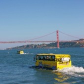 Passeio no HIPPOtrip - Bilhete Criança dos 2 aos 16 anos
