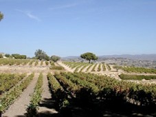 Séjour les Grands Vins de Bordeaux à 2, tout compris.