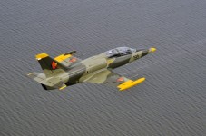 Jet fliegen in Deutschland - L-39 Albatros
