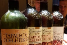 Dégustation de vins, visite de la cave et safari à Alentejo pour 2