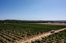 Prova de Vinhos e Passeio de Jipe na Herdade de Coelheiros p/2