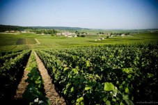 Segway Tour von Reims