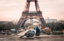 Private Tour von Montmartre und Sacre Coeur