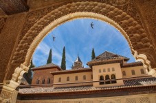 Las Ventas Bullring und Museumsbesuch mit Audioguide