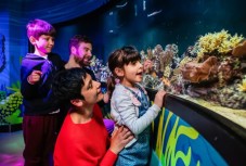 Sea Life London Aquarium: Tickets mit bevorzugtem Eintritt