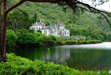 Whisky Tasting Tour durch Dublin