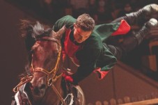 Visite du Château de Chantilly + Spectacle Equestre - Oise (60)