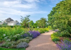 Royalen botanischen Gärten London