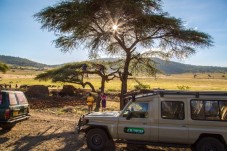 7 Tages Safari in Kenia - Afrika