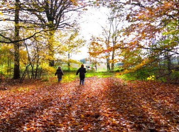 Erlebnisgeschenke im Herbst