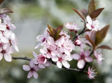 Erlebnisse im Frühling